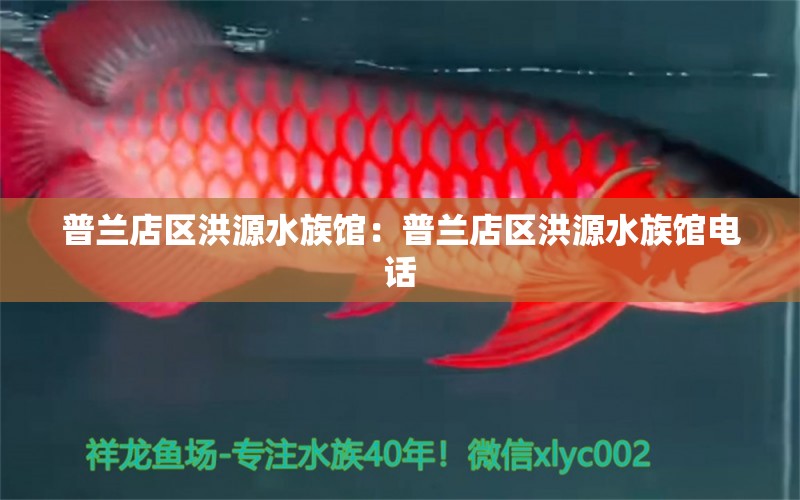 普蘭店區(qū)洪源水族館：普蘭店區(qū)洪源水族館電話