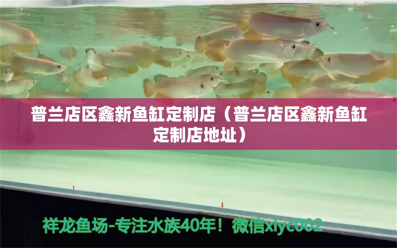 普蘭店區(qū)鑫新魚缸定制店（普蘭店區(qū)鑫新魚缸定制店地址） 全國(guó)水族館企業(yè)名錄