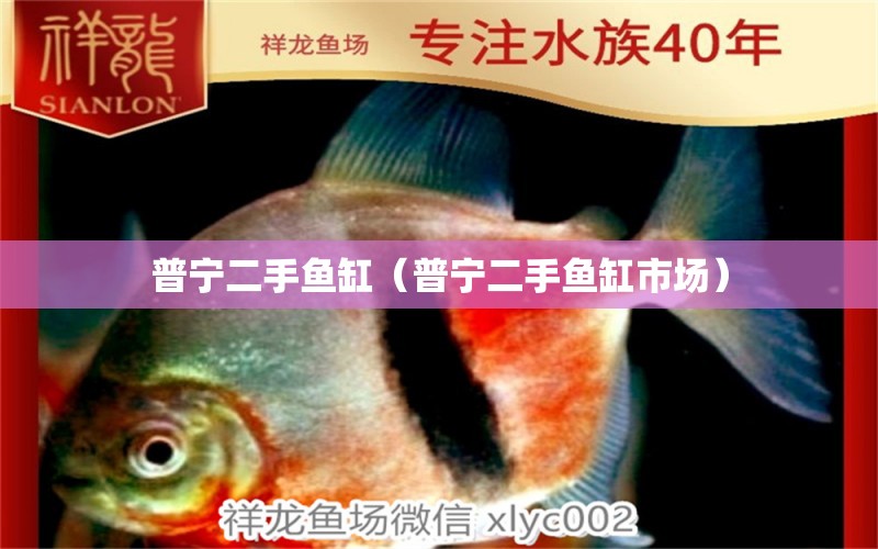 普寧二手魚缸（普寧二手魚缸市場(chǎng)）