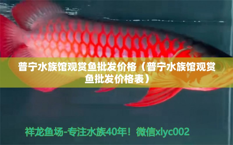 普寧水族館觀賞魚批發(fā)價(jià)格（普寧水族館觀賞魚批發(fā)價(jià)格表）