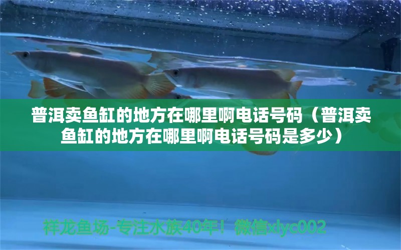 普洱賣魚缸的地方在哪里啊電話號碼（普洱賣魚缸的地方在哪里啊電話號碼是多少）