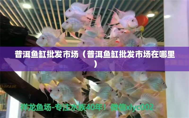 普洱魚缸批發(fā)市場（普洱魚缸批發(fā)市場在哪里） 觀賞魚水族批發(fā)市場