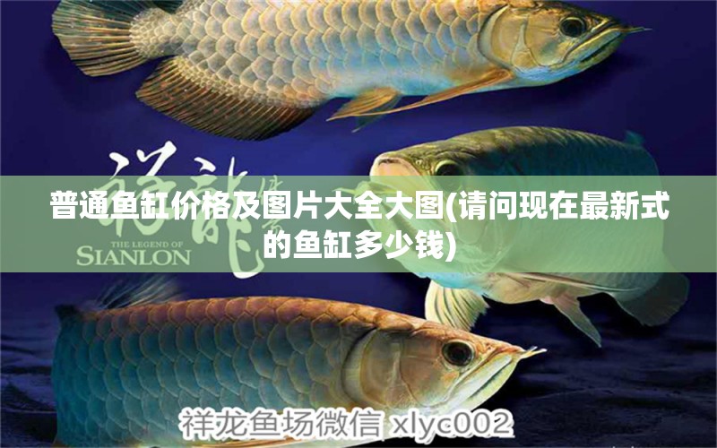 普通魚缸價格及圖片大全大圖(請問現在最新式的魚缸多少錢)