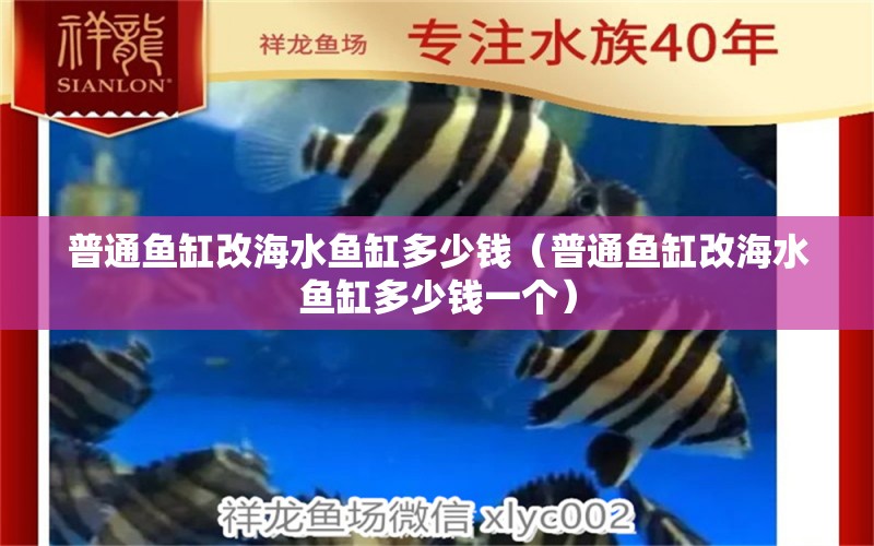 普通魚缸改海水魚缸多少錢（普通魚缸改海水魚缸多少錢一個） 海水魚