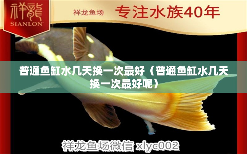 普通魚缸水幾天換一次最好（普通魚缸水幾天換一次最好呢） 水族世界