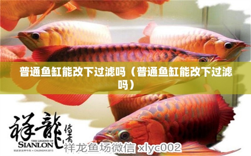 普通魚(yú)缸能改下過(guò)濾嗎（普通魚(yú)缸能改下過(guò)濾嗎） 觀賞魚(yú)市場(chǎng)（混養(yǎng)魚(yú)）