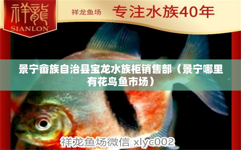 景寧畬族自治縣寶龍水族柜銷(xiāo)售部（景寧哪里有花鳥(niǎo)魚(yú)市場(chǎng)） 全國(guó)水族館企業(yè)名錄