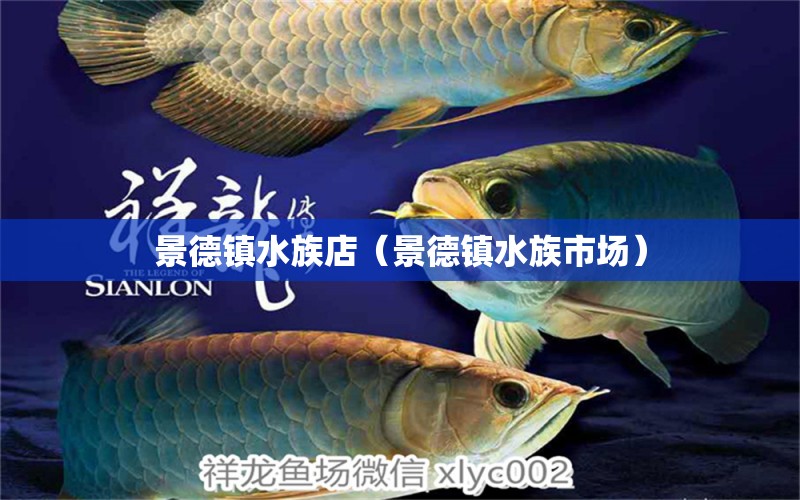 景德鎮(zhèn)水族店（景德鎮(zhèn)水族市場） 觀賞魚市場