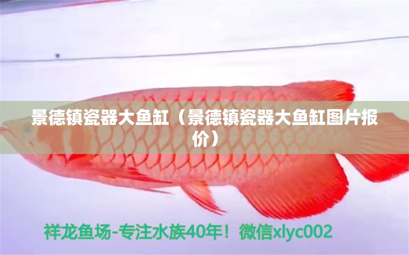 景德鎮(zhèn)瓷器大魚缸（景德鎮(zhèn)瓷器大魚缸圖片報價）