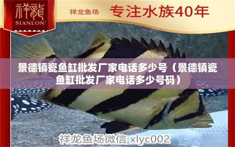 景德鎮(zhèn)瓷魚缸批發(fā)廠家電話多少號（景德鎮(zhèn)瓷魚缸批發(fā)廠家電話多少號碼）