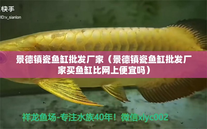 景德鎮(zhèn)瓷魚缸批發(fā)廠家（景德鎮(zhèn)瓷魚缸批發(fā)廠家買魚缸比網(wǎng)上便宜嗎）