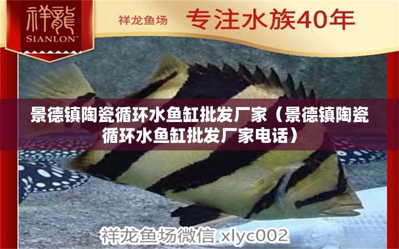 景德鎮(zhèn)陶瓷循環(huán)水魚缸批發(fā)廠家（景德鎮(zhèn)陶瓷循環(huán)水魚缸批發(fā)廠家電話） 白子黑帝王魟魚