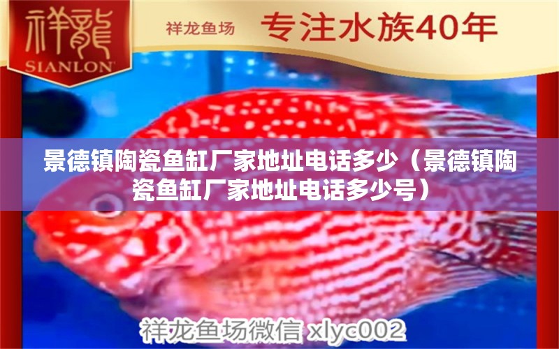 景德鎮(zhèn)陶瓷魚缸廠家地址電話多少（景德鎮(zhèn)陶瓷魚缸廠家地址電話多少號）