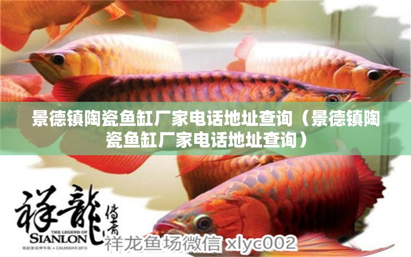 景德鎮(zhèn)陶瓷魚缸廠家電話地址查詢（景德鎮(zhèn)陶瓷魚缸廠家電話地址查詢） 觀賞魚市場（混養(yǎng)魚）