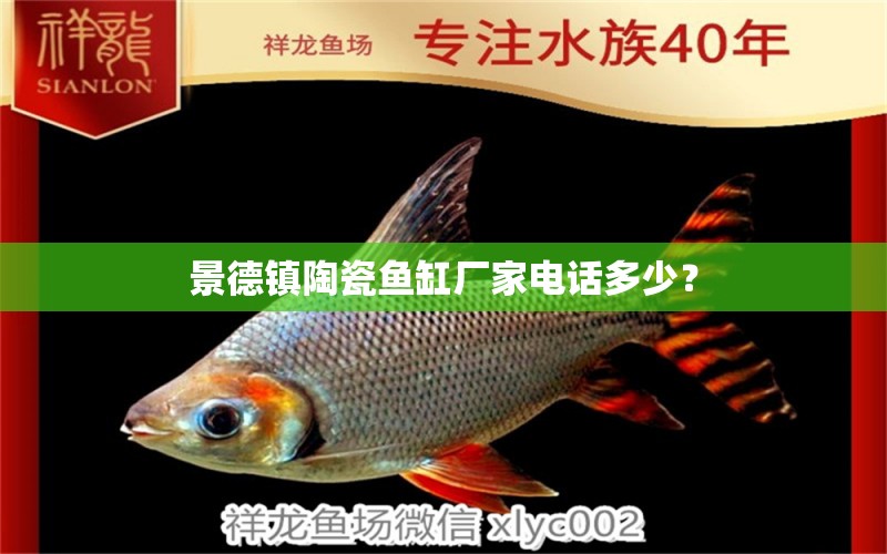 景德鎮(zhèn)陶瓷魚缸廠家電話多少？