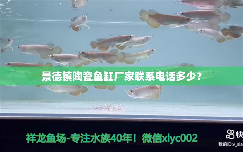 景德鎮(zhèn)陶瓷魚缸廠家聯(lián)系電話多少？ 造景/裝飾