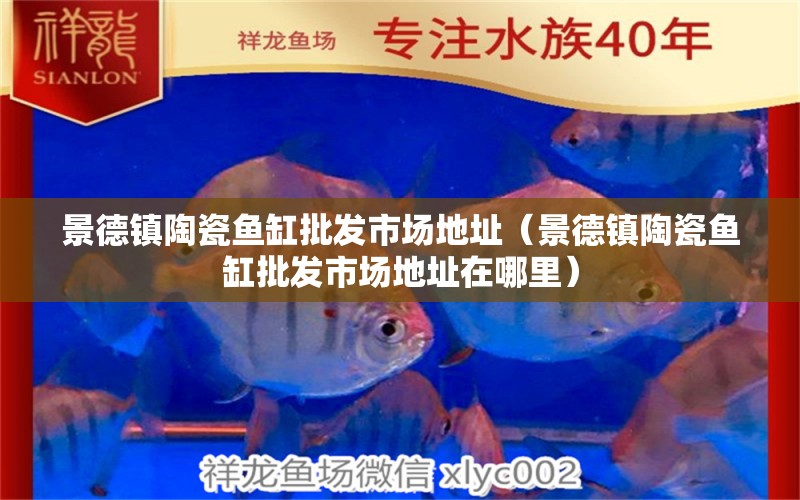 景德鎮(zhèn)陶瓷魚缸批發(fā)市場地址（景德鎮(zhèn)陶瓷魚缸批發(fā)市場地址在哪里） 其他品牌魚缸