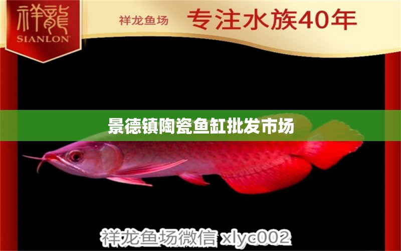 景德鎮(zhèn)陶瓷魚缸批發(fā)市場(chǎng) 其他品牌魚缸