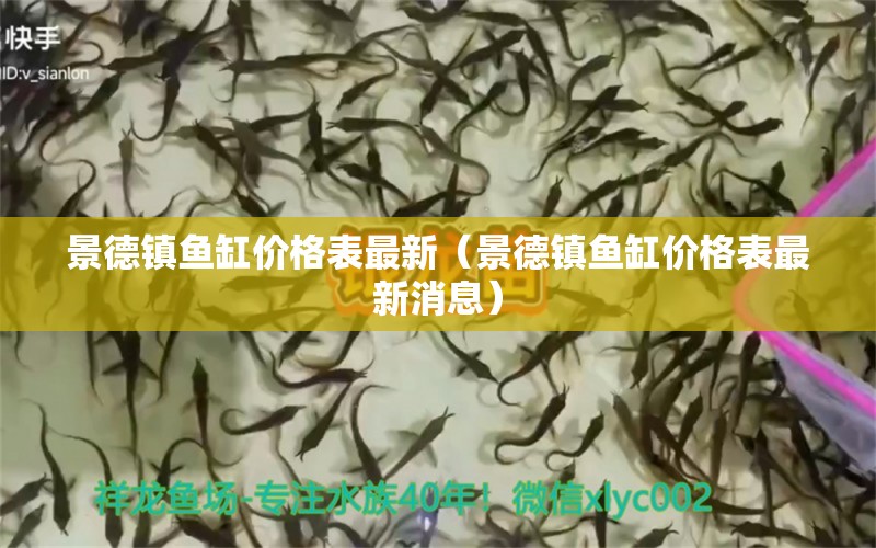 景德鎮(zhèn)魚缸價格表最新（景德鎮(zhèn)魚缸價格表最新消息） 其他品牌魚缸