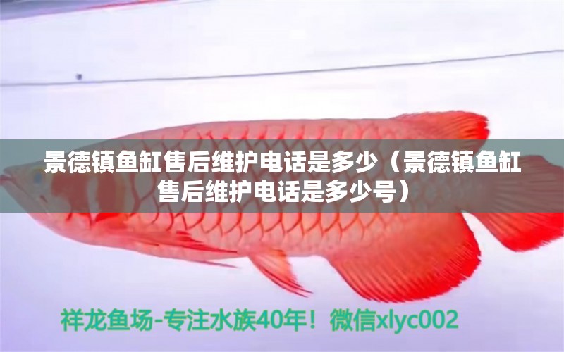 景德鎮(zhèn)魚缸售后維護(hù)電話是多少（景德鎮(zhèn)魚缸售后維護(hù)電話是多少號） 其他品牌魚缸