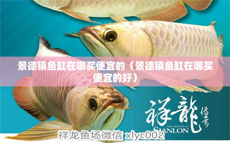 景德鎮(zhèn)魚(yú)缸在哪買(mǎi)便宜的（景德鎮(zhèn)魚(yú)缸在哪買(mǎi)便宜的好）