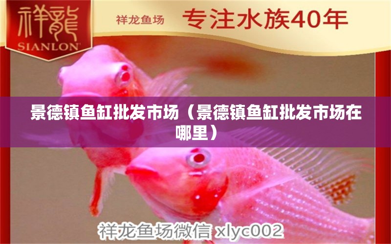 景德鎮(zhèn)魚缸批發(fā)市場（景德鎮(zhèn)魚缸批發(fā)市場在哪里） 觀賞魚水族批發(fā)市場