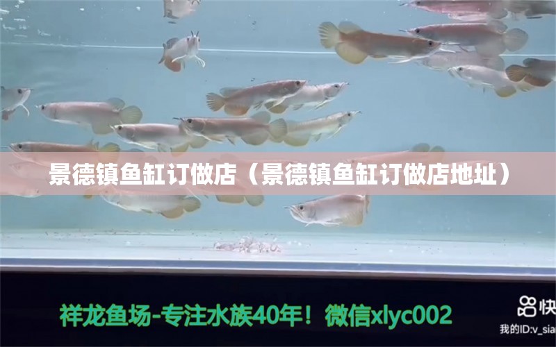 景德鎮(zhèn)魚缸訂做店（景德鎮(zhèn)魚缸訂做店地址）