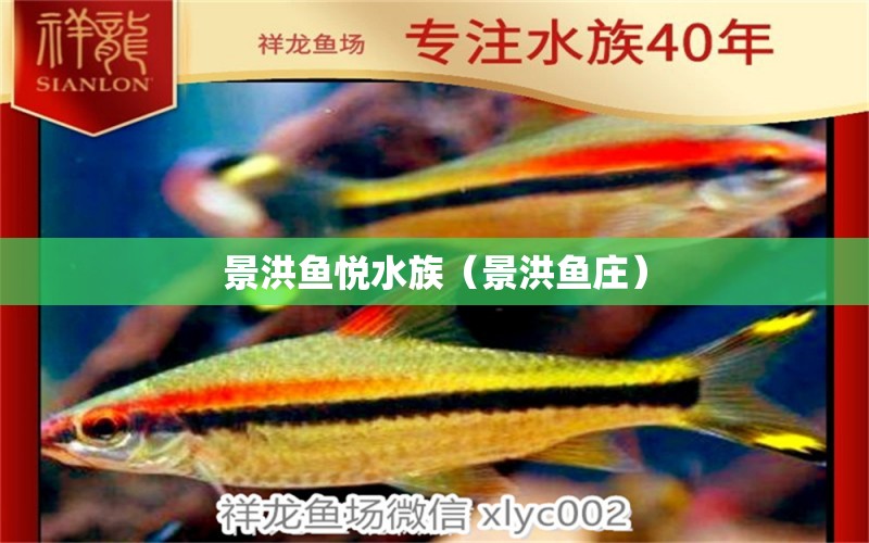 景洪魚悅水族（景洪魚莊）