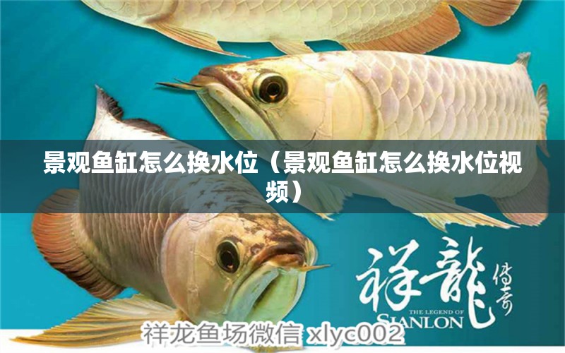 景觀魚缸怎么換水位（景觀魚缸怎么換水位視頻）