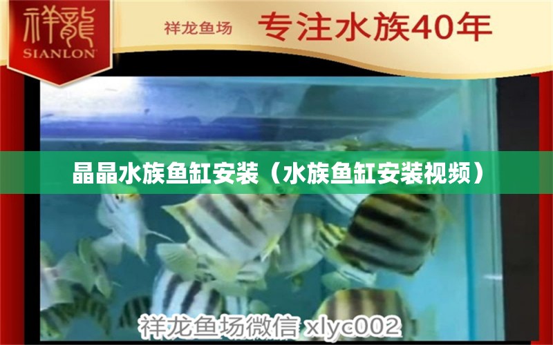 晶晶水族魚缸安裝（水族魚缸安裝視頻） 祥龍水族醫(yī)院