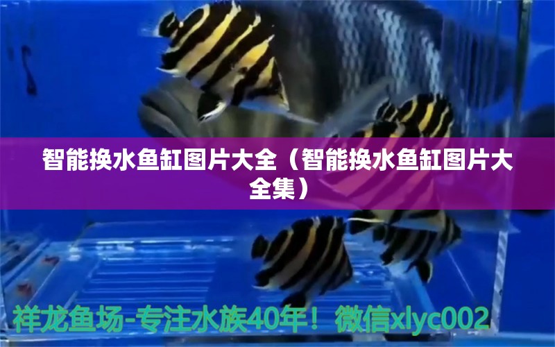 智能換水魚(yú)缸圖片大全（智能換水魚(yú)缸圖片大全集） 祥龍水族醫(yī)院