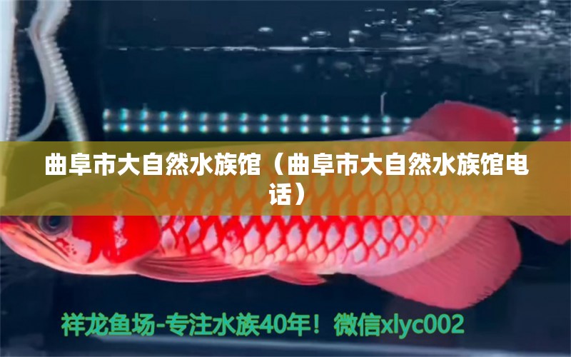 曲阜市大自然水族館（曲阜市大自然水族館電話） 全國(guó)水族館企業(yè)名錄