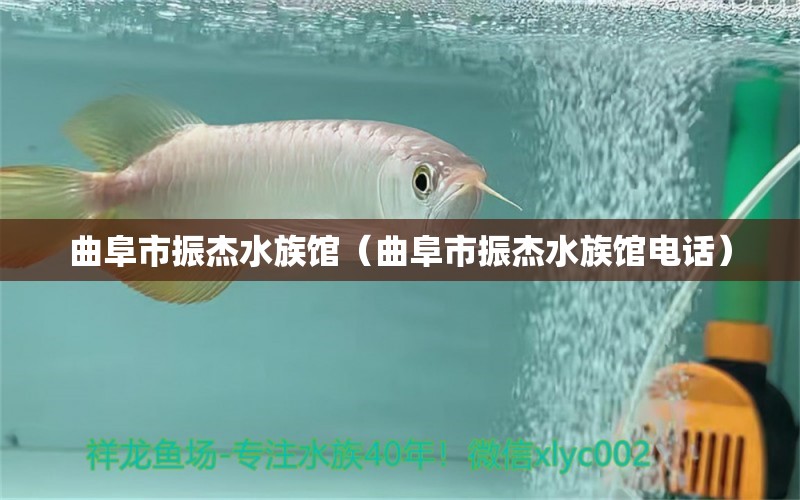 曲阜市振杰水族館（曲阜市振杰水族館電話）