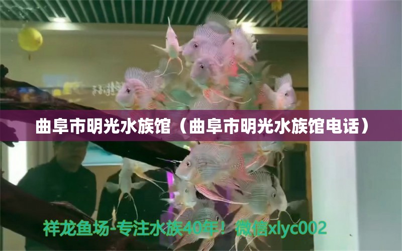 曲阜市明光水族館（曲阜市明光水族館電話） 全國水族館企業(yè)名錄