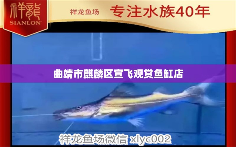 曲靖市麒麟?yún)^(qū)宣飛觀賞魚缸店 全國水族館企業(yè)名錄