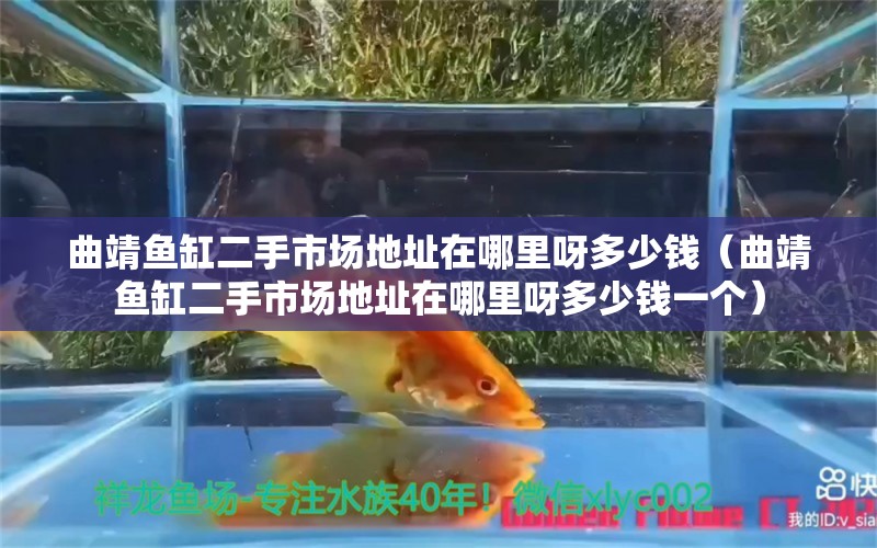 曲靖魚缸二手市場地址在哪里呀多少錢（曲靖魚缸二手市場地址在哪里呀多少錢一個） 其它水族用具設備