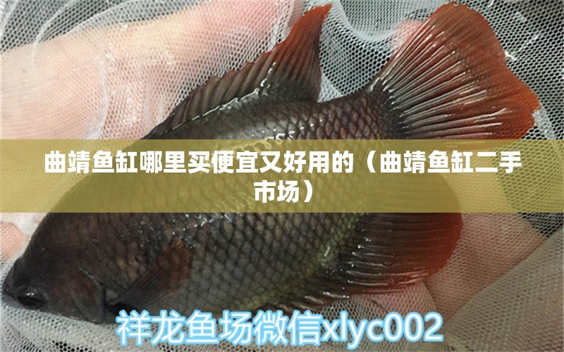 曲靖魚(yú)缸哪里買(mǎi)便宜又好用的（曲靖魚(yú)缸二手市場(chǎng)）