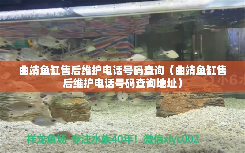 曲靖魚缸售后維護電話號碼查詢（曲靖魚缸售后維護電話號碼查詢地址） 其他品牌魚缸