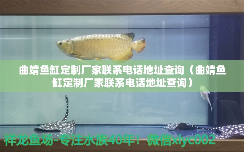 曲靖魚(yú)缸定制廠家聯(lián)系電話地址查詢（曲靖魚(yú)缸定制廠家聯(lián)系電話地址查詢）