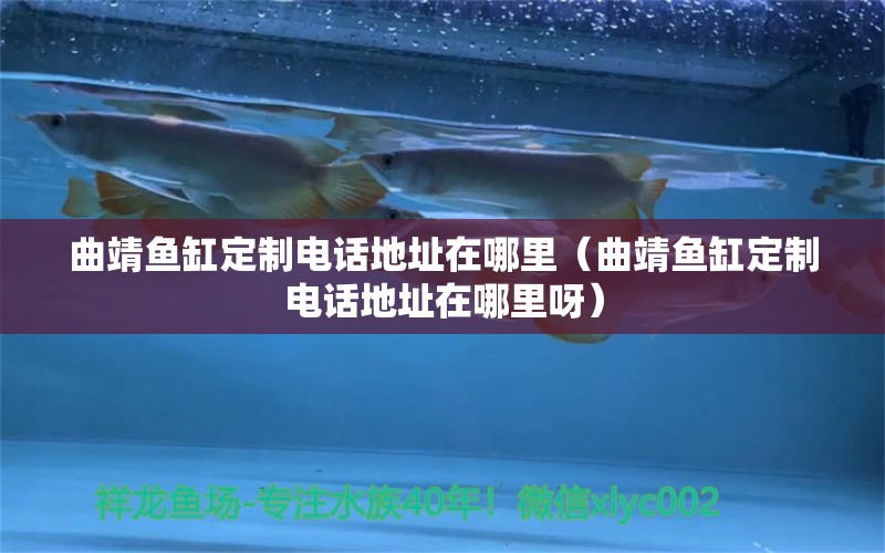 曲靖魚缸定制電話地址在哪里（曲靖魚缸定制電話地址在哪里呀） 祥龍魚場