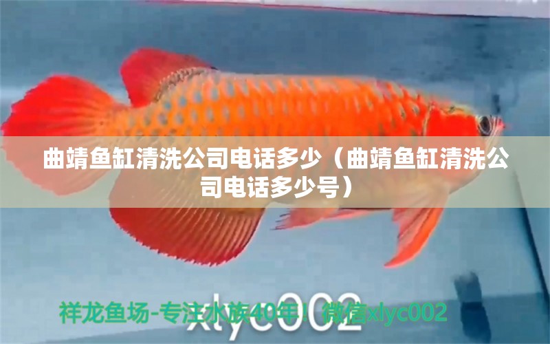 曲靖魚缸清洗公司電話多少（曲靖魚缸清洗公司電話多少號）