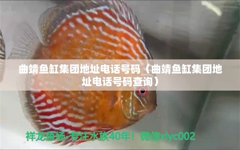 曲靖魚缸集團(tuán)地址電話號(hào)碼（曲靖魚缸集團(tuán)地址電話號(hào)碼查詢） 觀賞魚市場(chǎng)（混養(yǎng)魚）