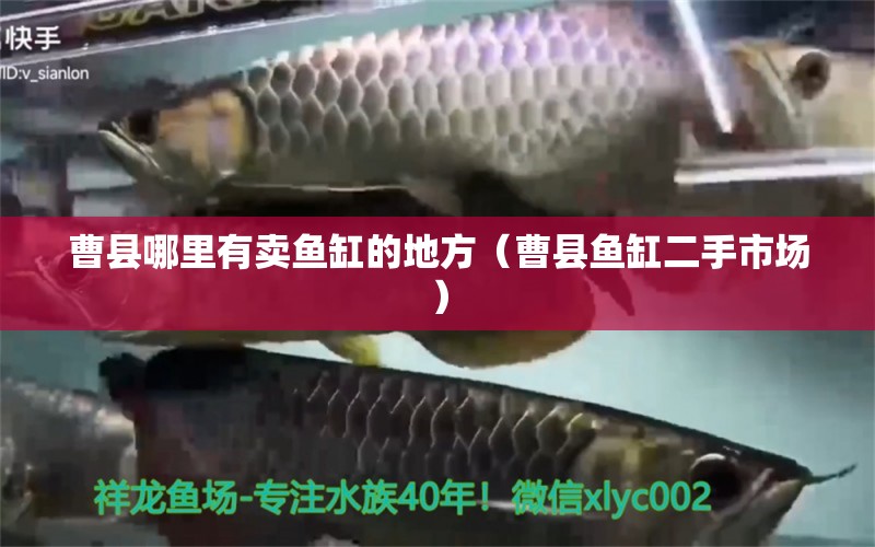 曹縣哪里有賣魚缸的地方（曹縣魚缸二手市場(chǎng)） 廣州觀賞魚批發(fā)市場(chǎng)