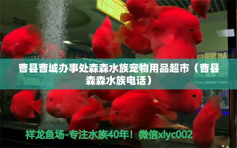 曹縣曹城辦事處森森水族寵物用品超市（曹縣森森水族電話）