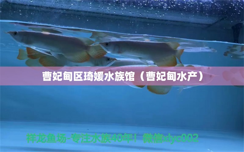 曹妃甸區(qū)琦媛水族館（曹妃甸水產(chǎn)） 全國水族館企業(yè)名錄