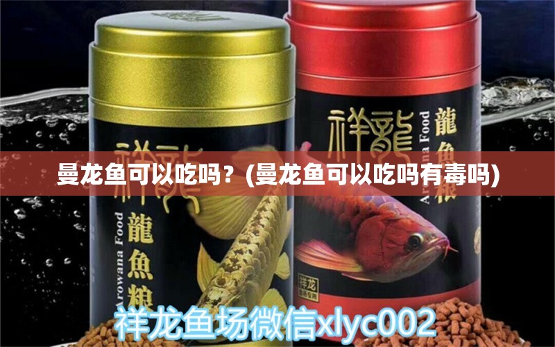 曼龍魚可以吃嗎？(曼龍魚可以吃嗎有毒嗎) 馬拉莫寶石魚苗