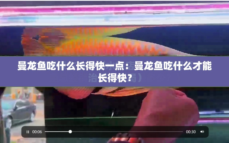 曼龍魚吃什么長得快一點(diǎn)：曼龍魚吃什么才能長得快？