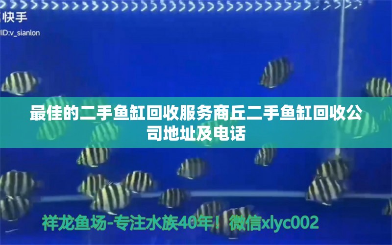 最佳的二手魚缸回收服務商丘二手魚缸回收公司地址及電話 白子紅龍魚