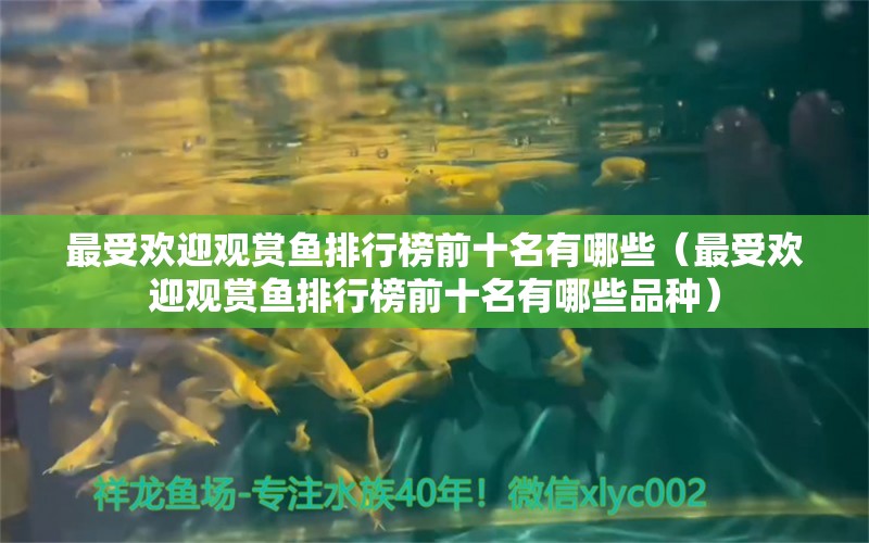 最受歡迎觀賞魚排行榜前十名有哪些（最受歡迎觀賞魚排行榜前十名有哪些品種） 祥龍水族醫(yī)院