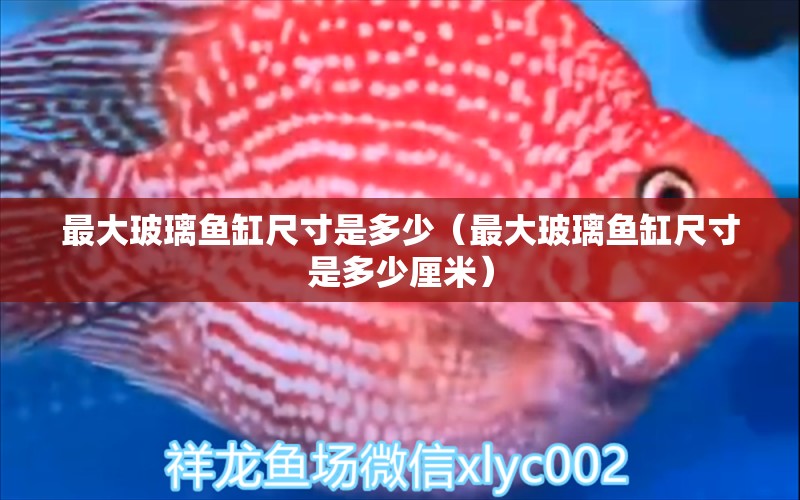 最大玻璃魚(yú)缸尺寸是多少（最大玻璃魚(yú)缸尺寸是多少厘米） 其他品牌魚(yú)缸